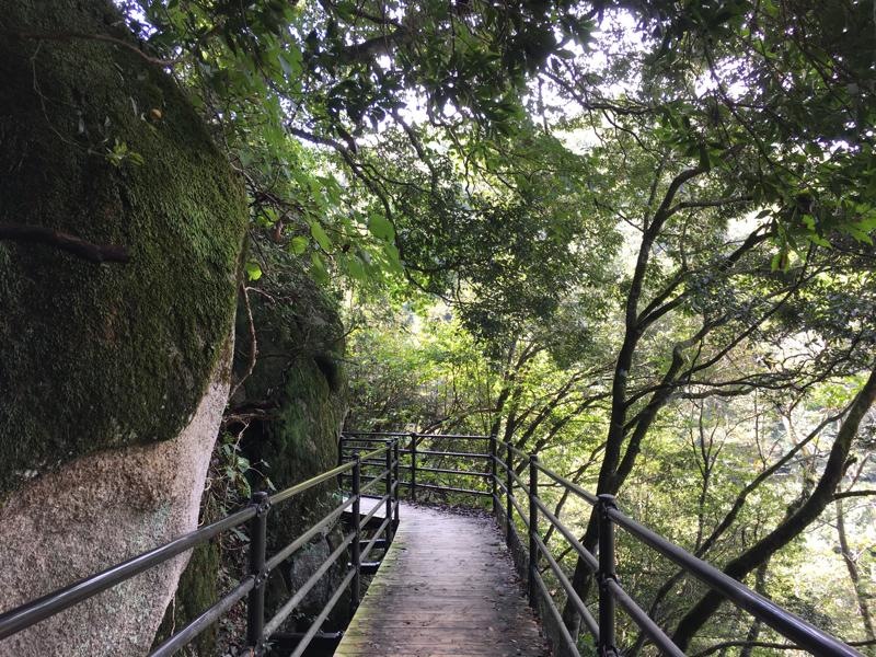 遊歩道が作ってあります。