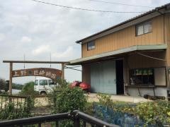 上野（春）巨峰柿園