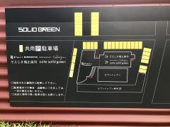 ｓｏｌｉｄｇｒｅｅｎ