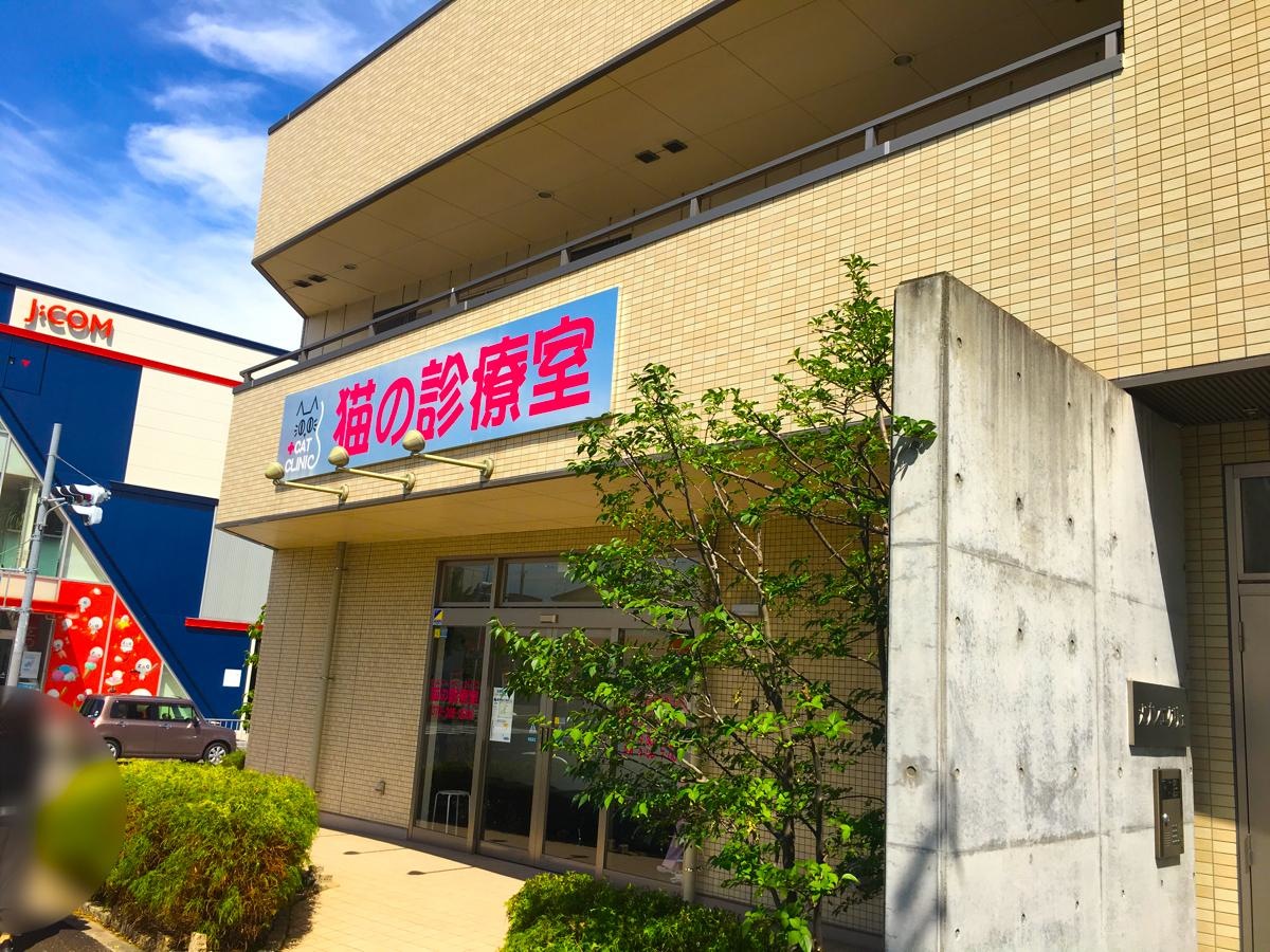 建物