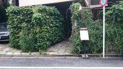 蔦珈琲店
