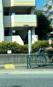 「舟渡一丁目」バス停留所