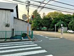 「野尻」バス停留所