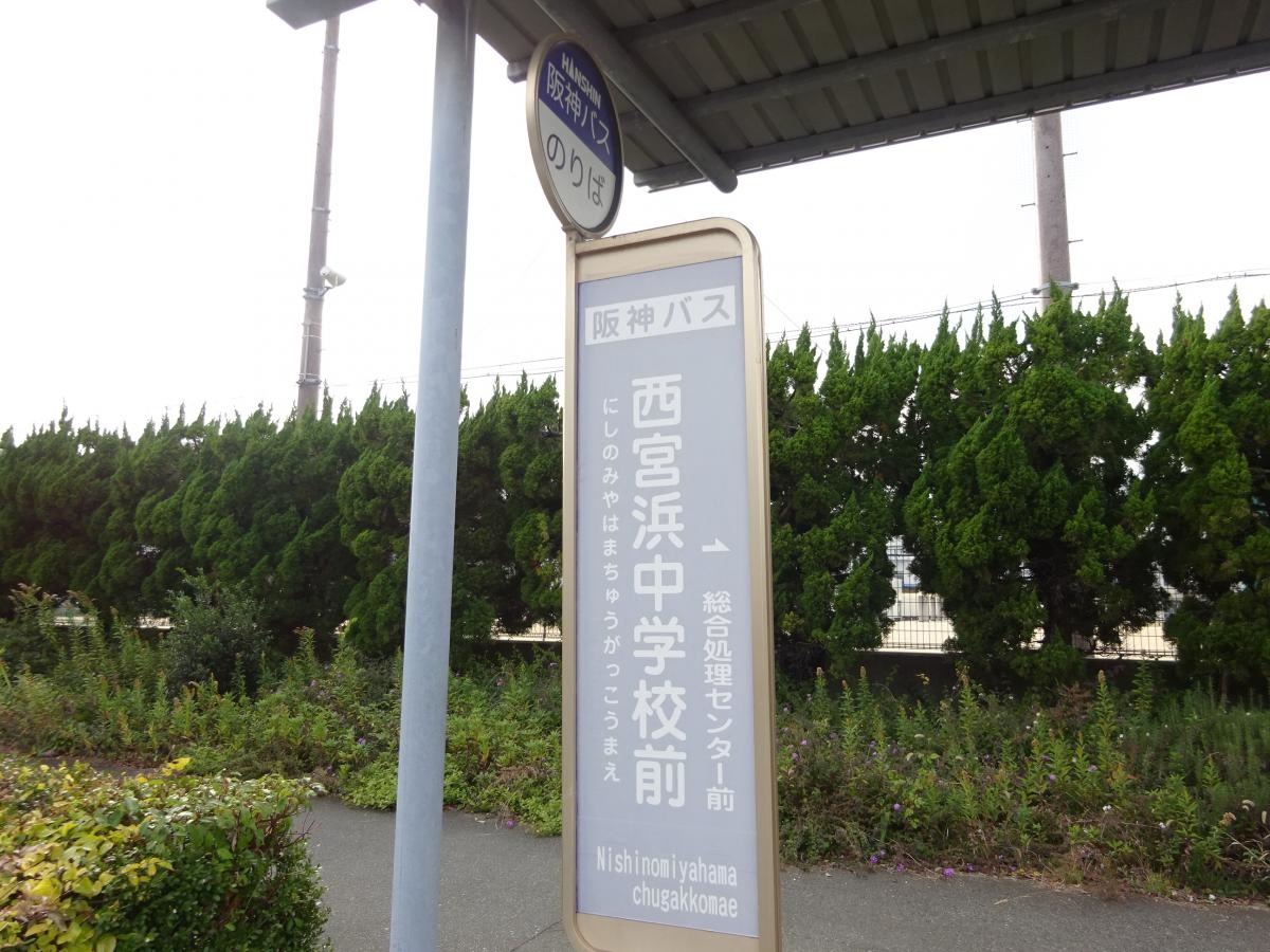 「西宮浜中学校前」バス停留所