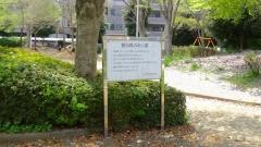 萱田森の街公園