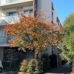 Ｃｈａｒｍ（チャーム）東淀川豊里