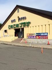 道の駅　なかせん