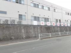 光の園保育園