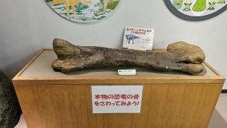 白山恐竜パーク白峰