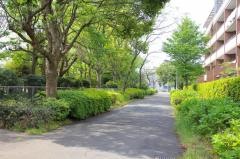 香澄2号緑道