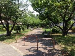 香澄2号緑道