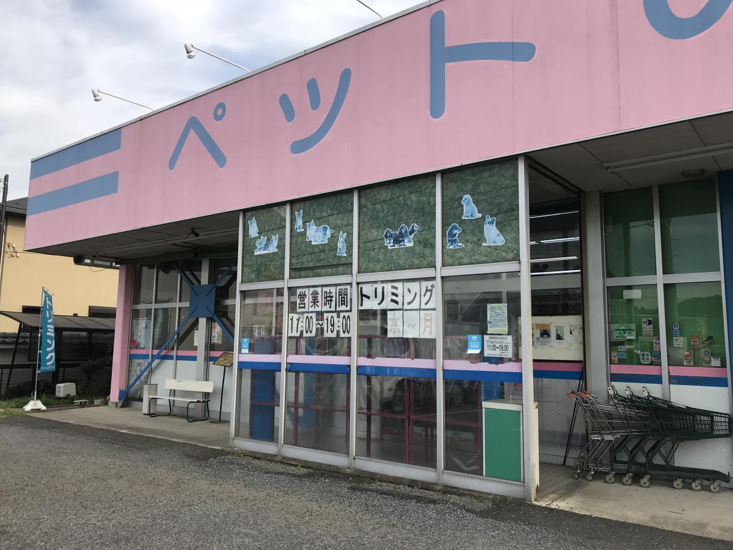 活動歴および当時の関連ビジュアル記録