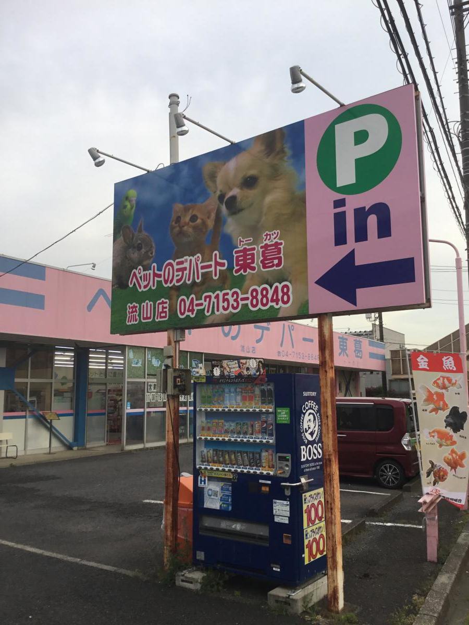 当時のメディア報道・掲載写真