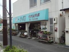 柏原愛鳥園