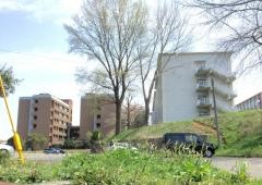 鳥取大学大学院