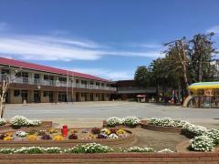 豊四季幼稚園