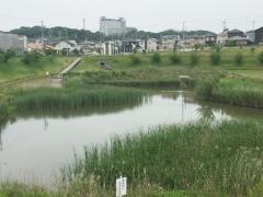 北条公園