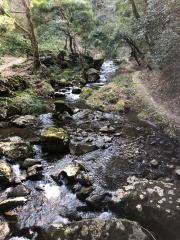 竜頭八重滝県立自然公園