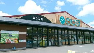 ラピタみなみ店