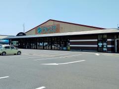 ラピタみなみ店