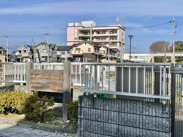 アクティバ琵琶