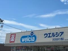ウエルシア　ひたちなか六ツ野店