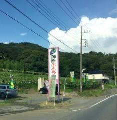 神原ぶどう園