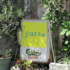 ｇａｔｔｏ