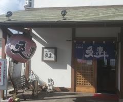 魚専