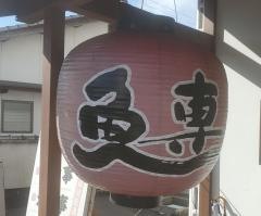 魚専