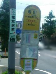 「寿町」バス停留所