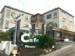 カトニー本店