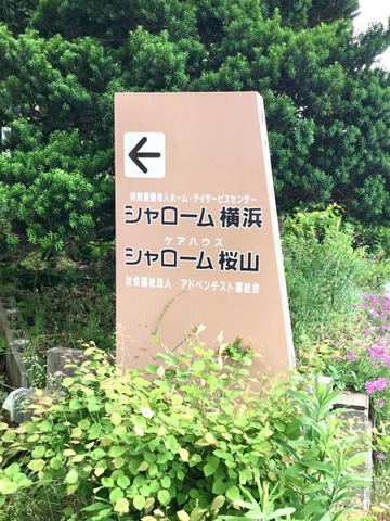 シャローム横浜