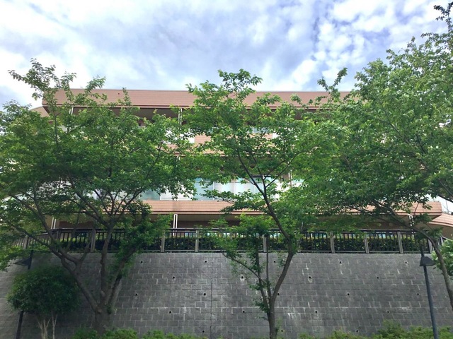 シャローム横浜