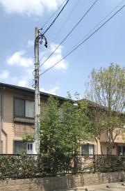 ファミリア元八事