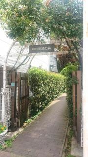 池袋の森