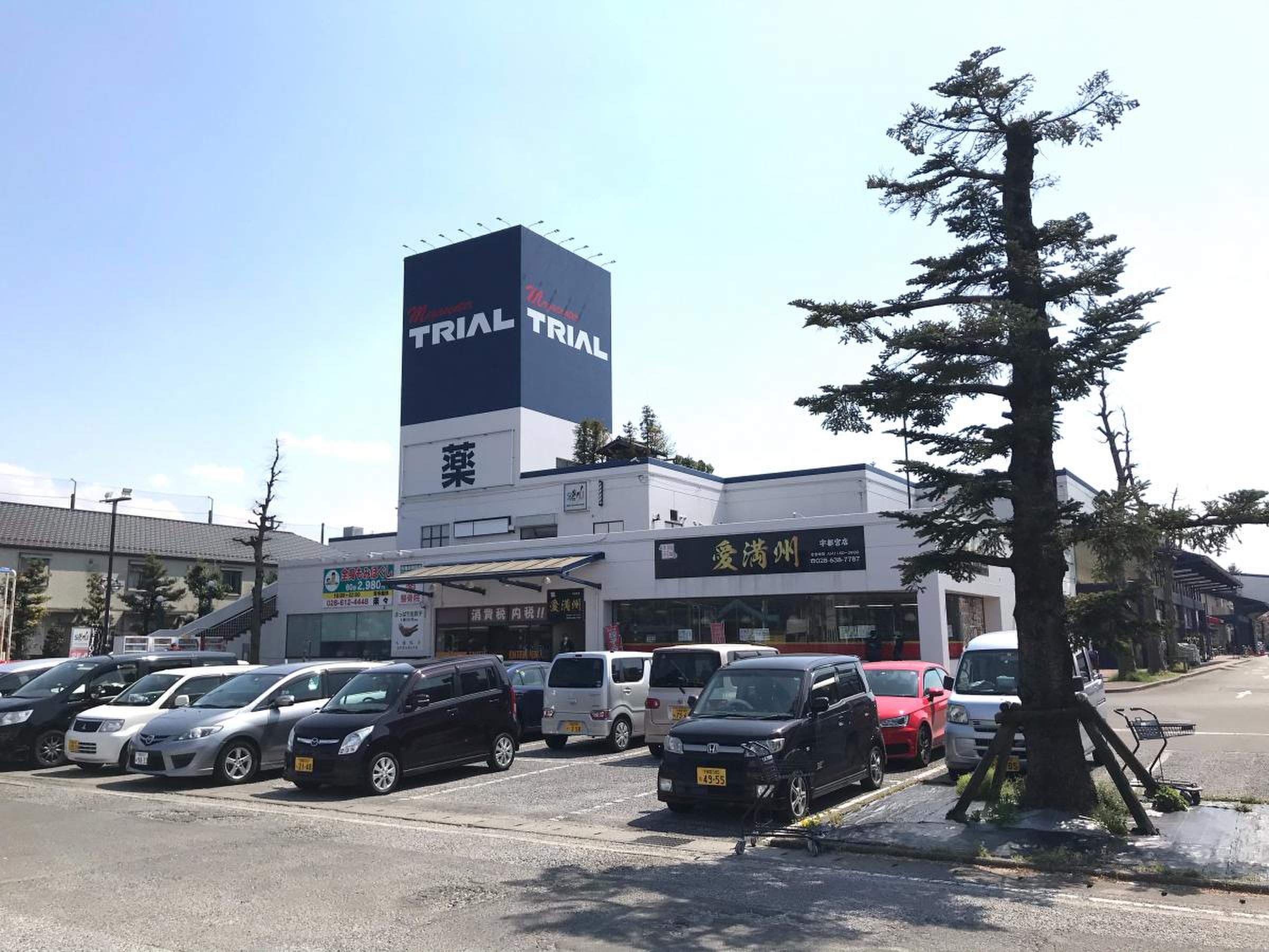 メガ センター トライアル 宇都宮 店