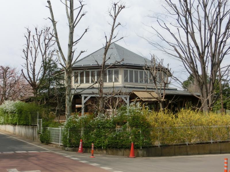 やまばと保育園です。