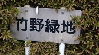 竹野緑地