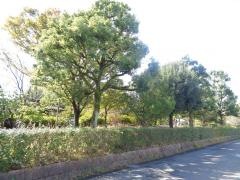 島南公園