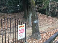 大平寺緑地