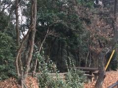 大平寺緑地