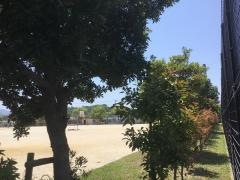 大在小学校