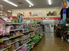 パウズフォリオビバペッツ館林店