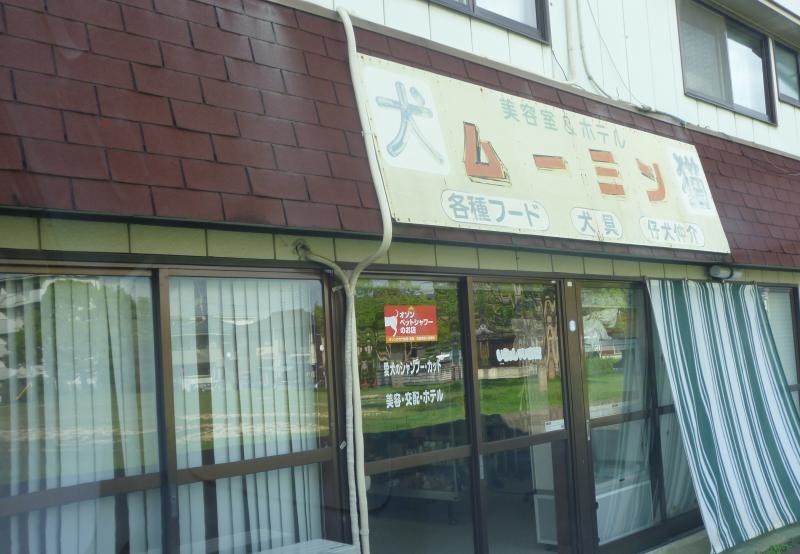 入口