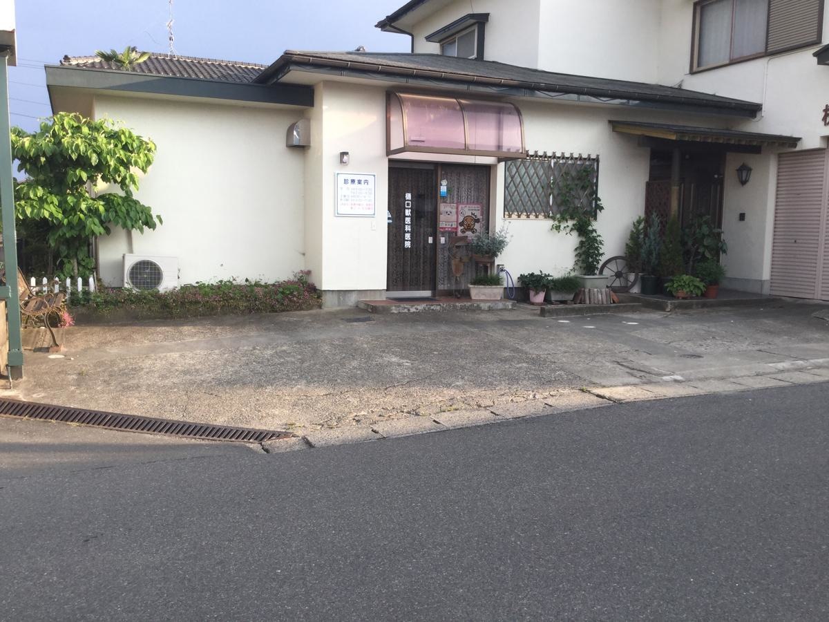 樋口獣医科医院