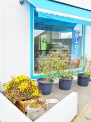ｃａｆｅ・Ｅｎａ