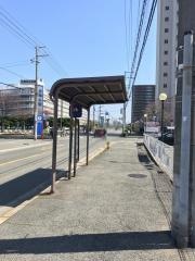 「金岡公園前」バス停留所