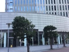 株式会社ウィルグループ