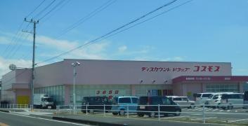 ドラッグストアコスモス　南淡店